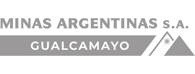 Logo 7